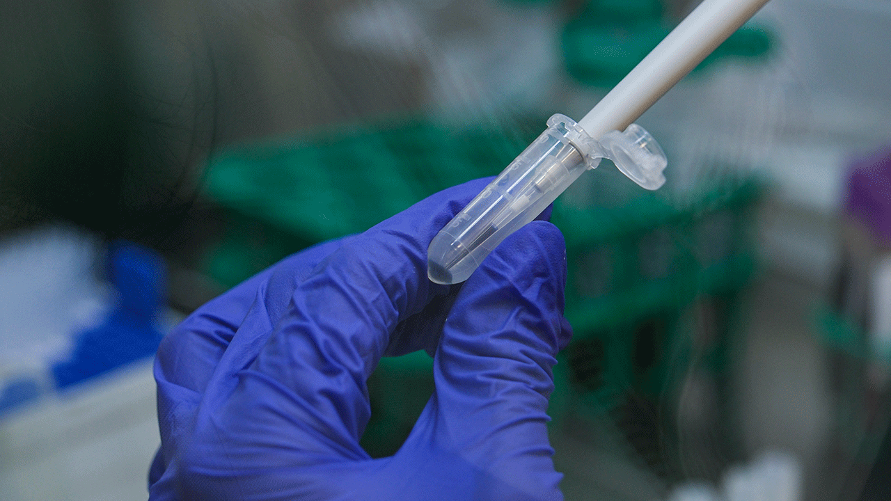 Foto - Türk ve Amerikan bilim insanları ortak aşı geliştiriyor!