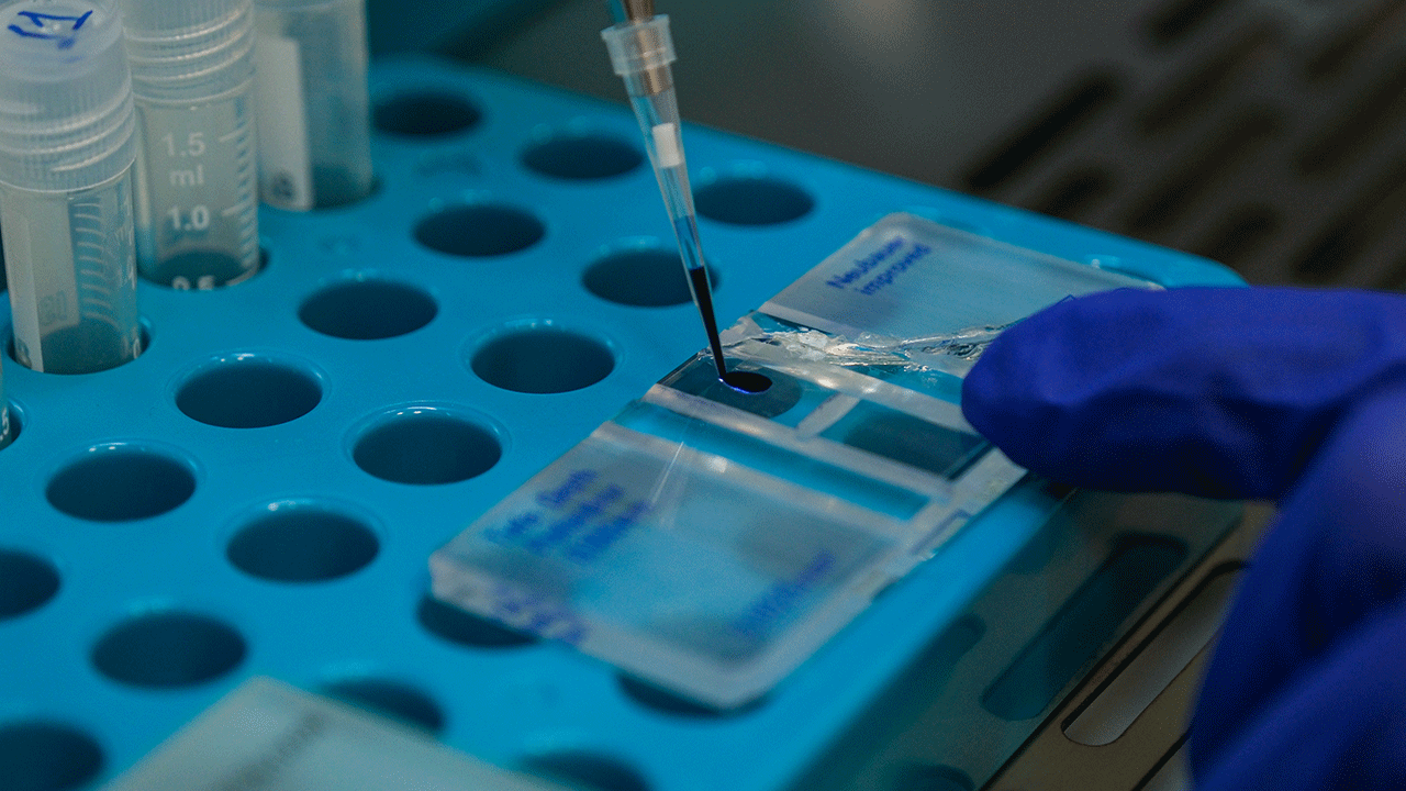 Foto - Türk ve Amerikan bilim insanları ortak aşı geliştiriyor!