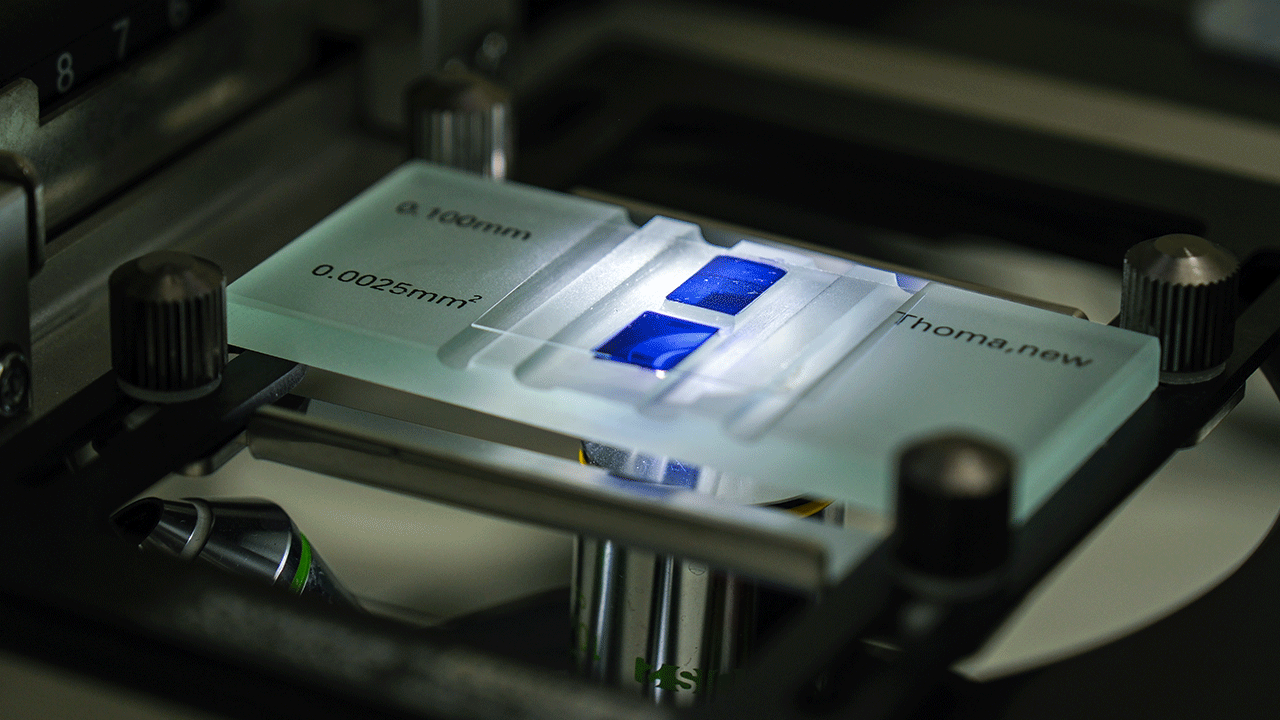 Foto - Türk ve Amerikan bilim insanları ortak aşı geliştiriyor!