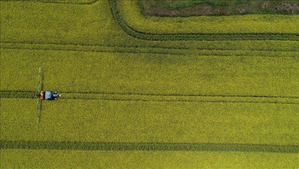 Foto - Türkiye 19 tarım ürününün üretiminde dünyada ilk 4'te!