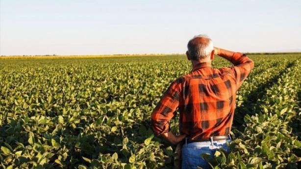 Foto - Türkiye 19 tarım ürününün üretiminde dünyada ilk 4'te!