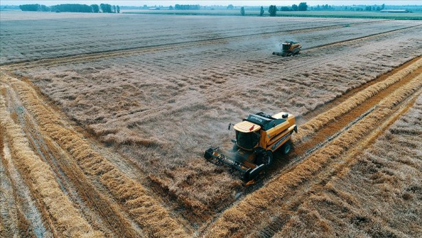 Foto - Türkiye 19 tarım ürününün üretiminde dünyada ilk 4'te!