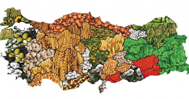 Foto - Türkiye 19 tarım ürününün üretiminde dünyada ilk 4'te!