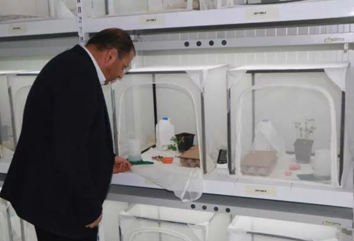 Foto - Türkiye 30 bin samuray arı üretmek için harekete geçti! Sebebi şok etti