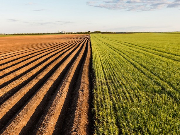 Foto - Türkiye 4 milyon hektardan fazla tarım alanını maalesef kaybetti