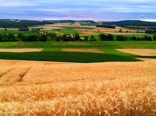 Foto - Türkiye 4 milyon hektardan fazla tarım alanını maalesef kaybetti