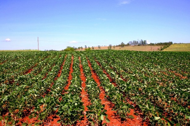 Foto - Türkiye 4 milyon hektardan fazla tarım alanını maalesef kaybetti