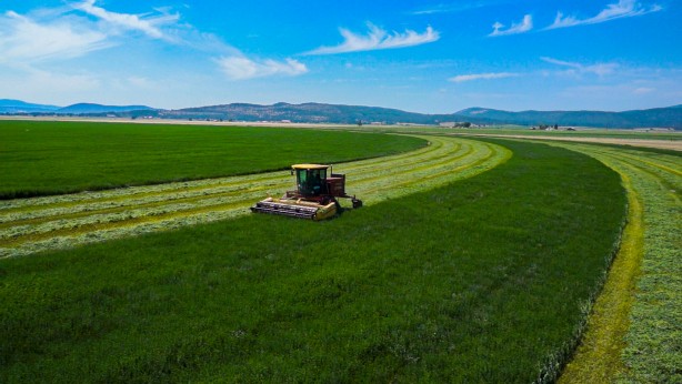Foto - Türkiye 4 milyon hektardan fazla tarım alanını maalesef kaybetti