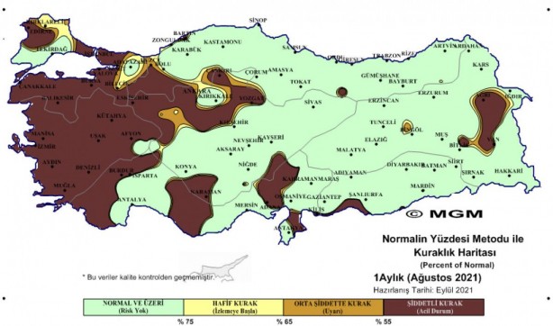 Foto - Türkiye ağustos ayında felaketi yaşadı