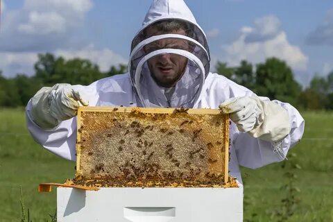 Foto - Türkiye Arıcılık Haritası güncellendi
