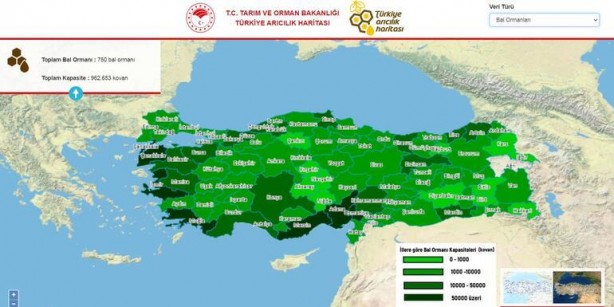 Foto - Türkiye Arıcılık Haritası güncellendi
