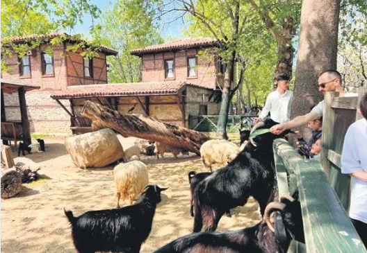 Foto - Türkiye bayramı böyle geçirdi! Oralara büyük akın oldu