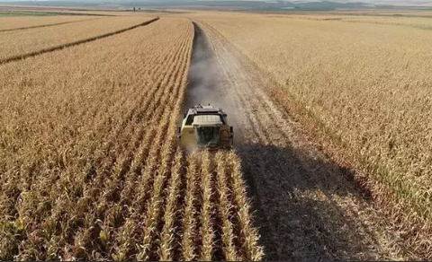 Foto - 'Türkiye bir şeylere hazırlanıyor' diyorlardı! Yunan tarafı yine yazdı: Her yeri ekmeye başladılar