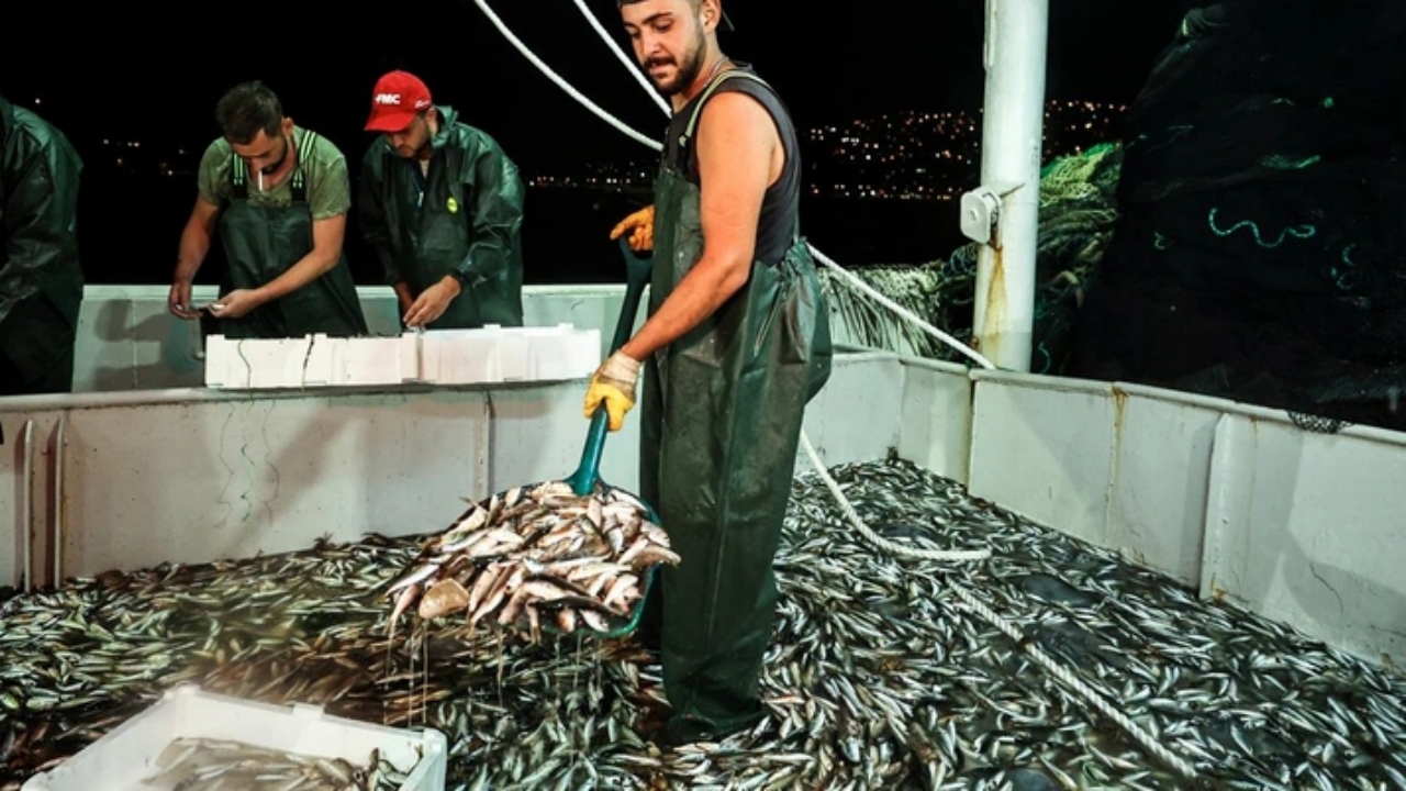 Foto - Türkiye bu sene balığa doyacak: İşte vatandaşa bayram ettiren balık fiyatları