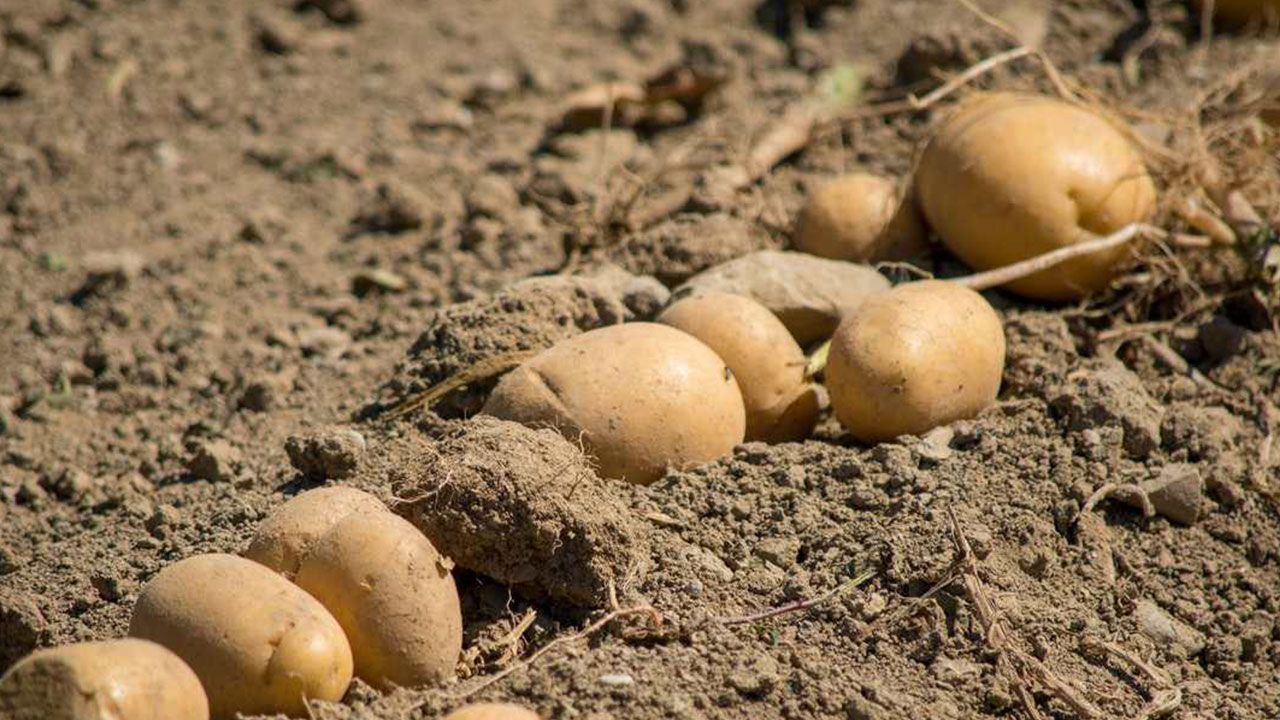 Foto - Türkiye büyük bir saldırının hedefinde! Mersin'de tespit edildi