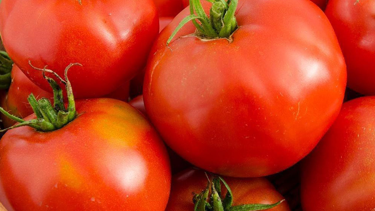 Foto - Türkiye büyük bir saldırının hedefinde! Mersin'de tespit edildi