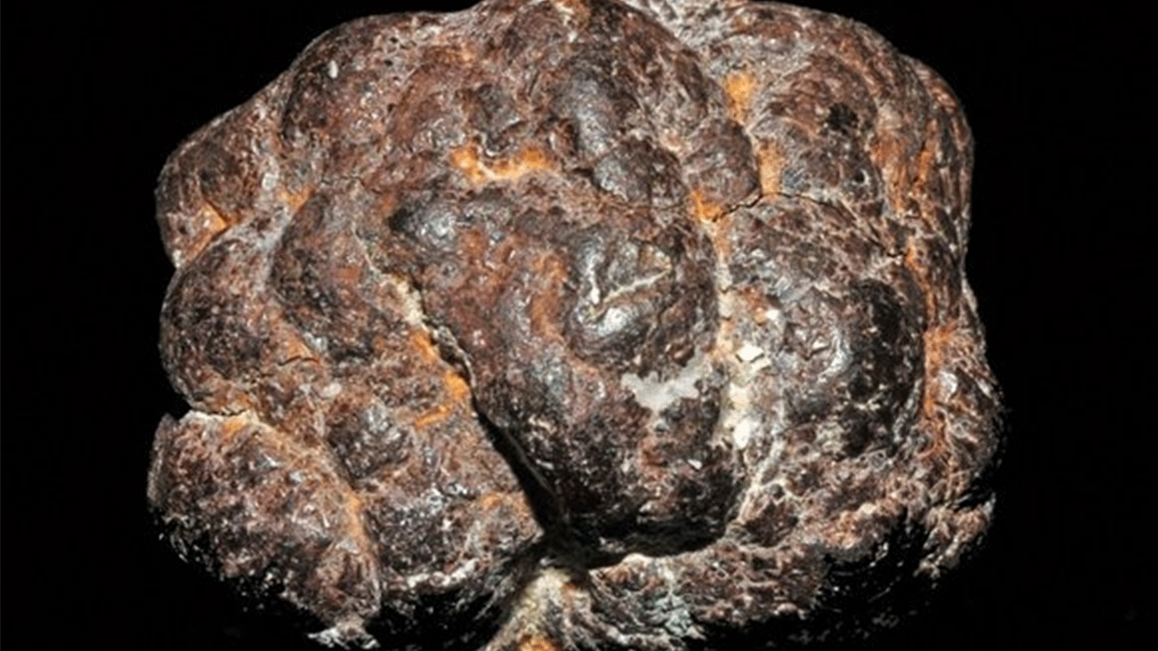 Foto - Türkiye dünyada ikinci sırada : 60 bin yıl yetecek rezerv bulundu!