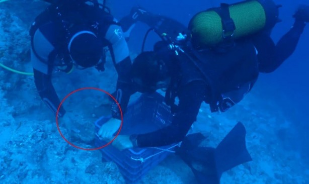 Foto - Türkiye duyurdu: 25 kiloluk bakır külçe Antalya'da çıkarıldı! Dünyanın en eski batığında bulundu! İşte detaylar