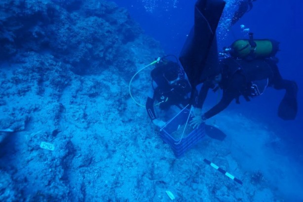 Foto - Türkiye duyurdu: 25 kiloluk bakır külçe Antalya'da çıkarıldı! Dünyanın en eski batığında bulundu! İşte detaylar