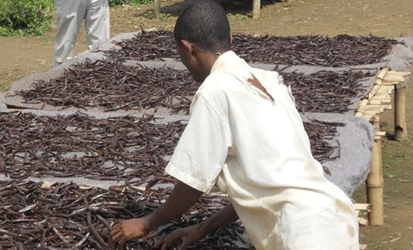 Foto - Türkiye gerçekte bakın nasıl biliniyor! İşte şaşırtan detay...
