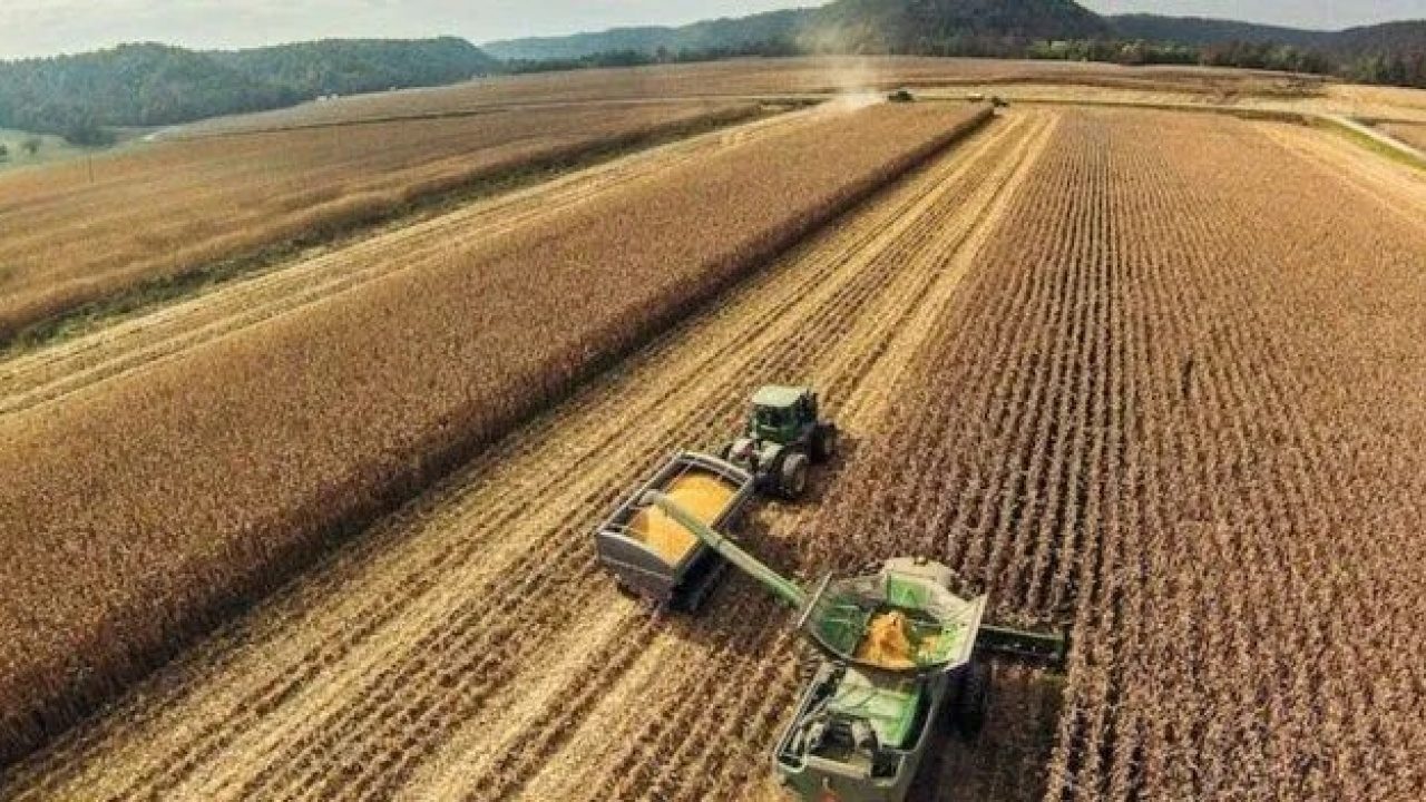 Foto - Türkiye gerçekten tarım ülkesi mi: Dünyanın en büyük tarım ülkeleri belli oldu, işte sıramız