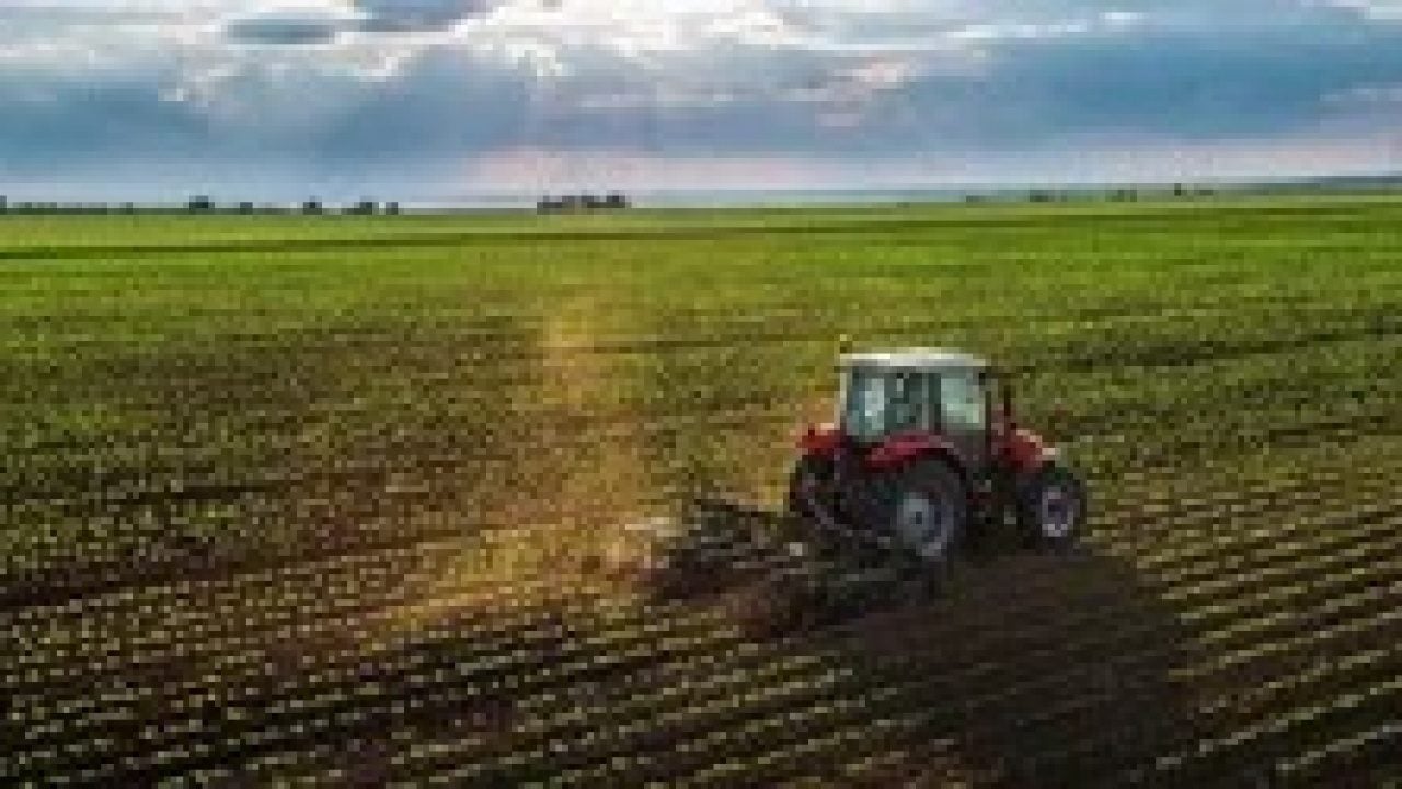 Foto - Türkiye gerçekten tarım ülkesi mi: Dünyanın en büyük tarım ülkeleri belli oldu, işte sıramız