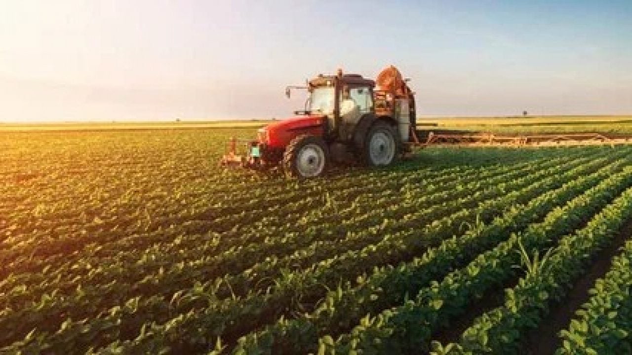 Foto - Türkiye gerçekten tarım ülkesi mi: Dünyanın en büyük tarım ülkeleri belli oldu, işte sıramız