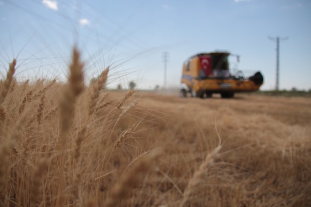 Foto - Türkiye gıda krizi yaşar mı? Un, bulgur, makarna ve ayçiçek yağı...