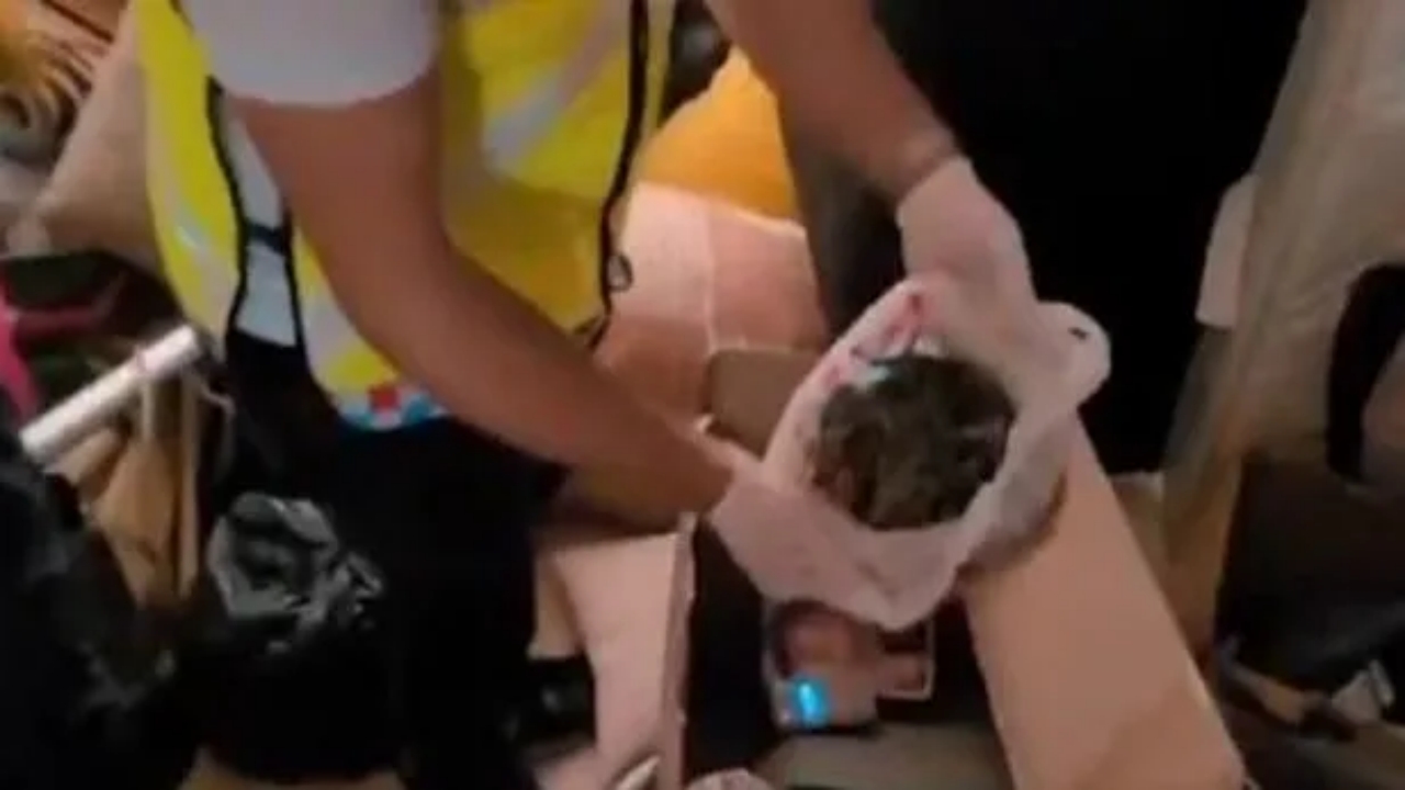 Foto - Türkiye güne dev operasyonla uyandı! Hazırlıklar tam 3 ay sürdü! Onlarca gözaltı var