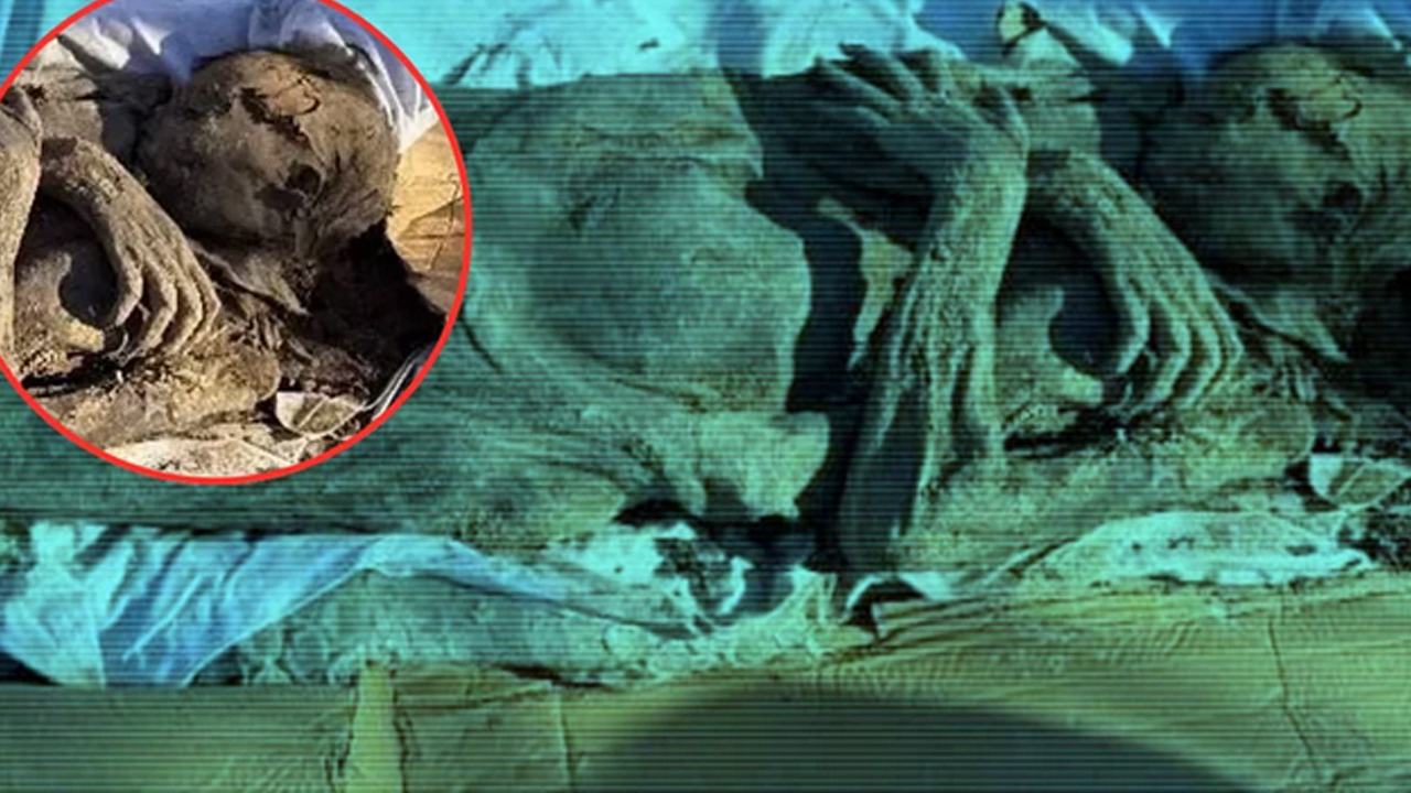 Türkiye Günlerdir Bu Olayı Konuşuyor: O ilimizde satılık Mumya Soruşturmasında Şoke Eden Detay!