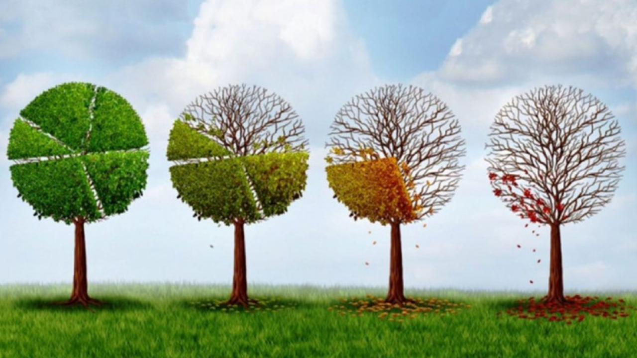 Foto - Türkiye için 5 büyük tehlike!