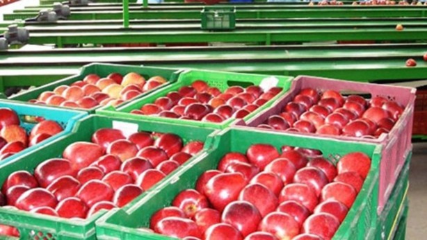 Foto - Türkiye için büyük tehlike artık ortada! Hindistan parayı ödemedi, Mısır için düğmeye basıldı