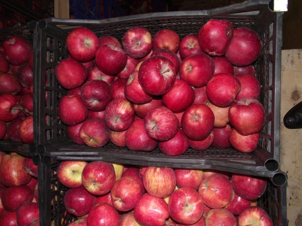 Foto - Türkiye için büyük tehlike artık ortada! Hindistan parayı ödemedi, Mısır için düğmeye basıldı