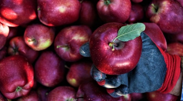 Foto - Türkiye için büyük tehlike artık ortada! Hindistan parayı ödemedi, Mısır için düğmeye basıldı
