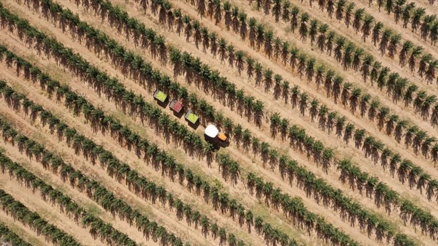 Foto - Türkiye için büyük tehlike artık ortada! Hindistan parayı ödemedi, Mısır için düğmeye basıldı