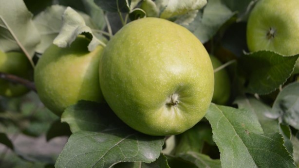 Foto - Türkiye için büyük tehlike artık ortada! Hindistan parayı ödemedi, Mısır için düğmeye basıldı