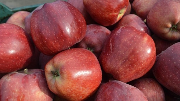 Foto - Türkiye için büyük tehlike artık ortada! Hindistan parayı ödemedi, Mısır için düğmeye basıldı