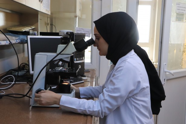 Foto - Türkiye için çok önemli bir koleksiyon... Bir bir ve bu kez olacak...