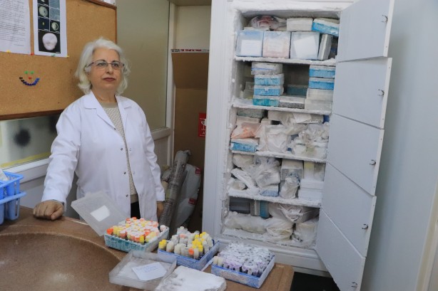 Foto - Türkiye için çok önemli bir koleksiyon... Bir bir ve bu kez olacak...