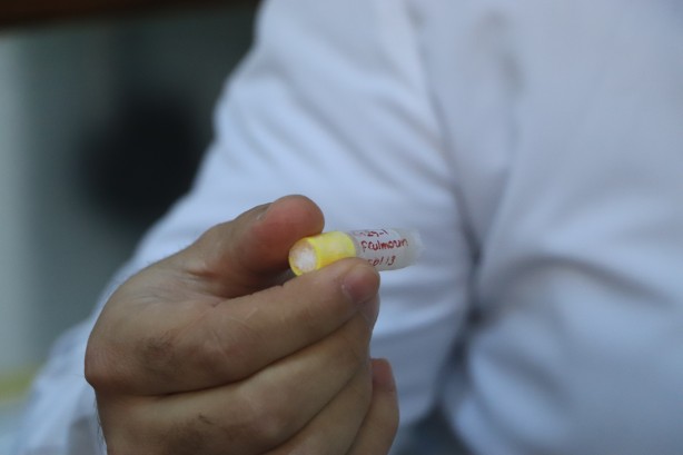 Foto - Türkiye için çok önemli bir koleksiyon... Bir bir ve bu kez olacak...