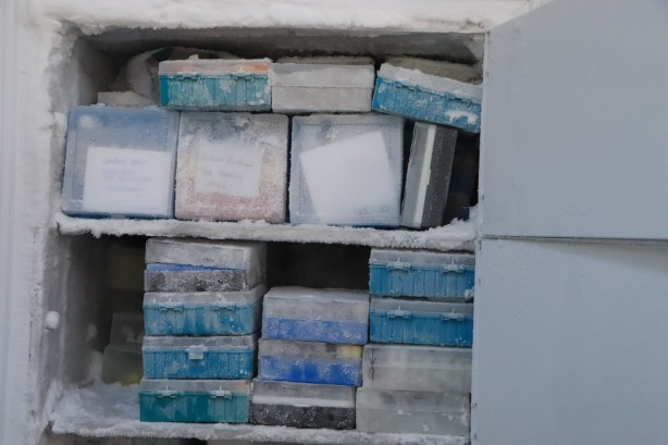 Foto - Türkiye için çok önemli bir koleksiyon... Bir bir ve bu kez olacak...