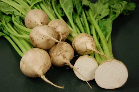 Foto - Türkiye için servet değerinde! Geçen yıl kimse tenezzül edip ekmemişti... Şimdi topraktan adeta fışkırdı