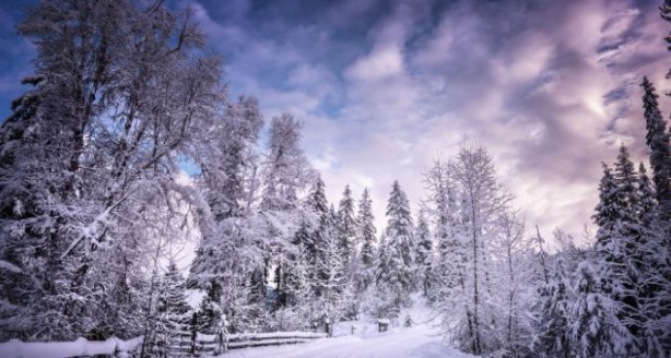 Foto - Türkiye için tarihi açıkladı: Turnayı gözünden vurabiliriz