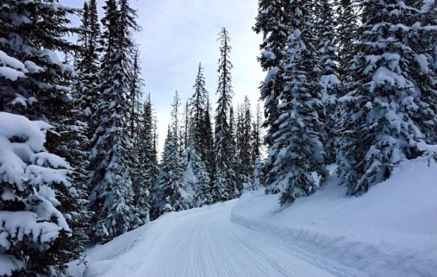 Foto - Türkiye için tarihi açıkladı: Turnayı gözünden vurabiliriz