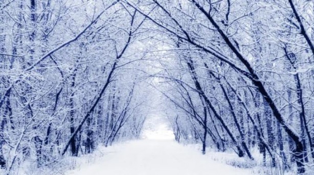 Foto - Türkiye için tarihi açıkladı: Turnayı gözünden vurabiliriz