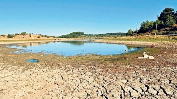 Foto - Türkiye için tehlike çanları çalıyor! Türk profesör acil olarak uyardı