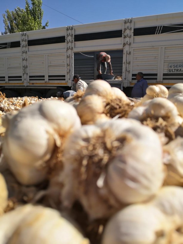 Foto - Türkiye ile Almanya arasında bir ilkti! Kapış kapış gidiyordu ama kötü haber geldi