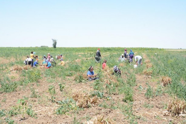 Foto - Türkiye ile Almanya arasında bir ilkti! Kapış kapış gidiyordu ama kötü haber geldi