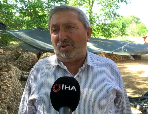 Foto - Türkiye ile Almanya arasında bir ilkti! Kapış kapış gidiyordu ama kötü haber geldi