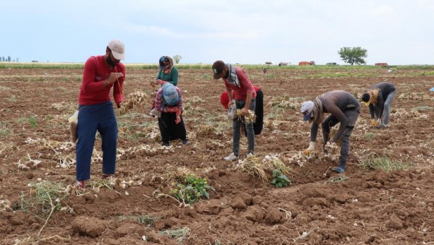 Foto - Türkiye ile Almanya arasında bir ilkti! Kapış kapış gidiyordu ama kötü haber geldi